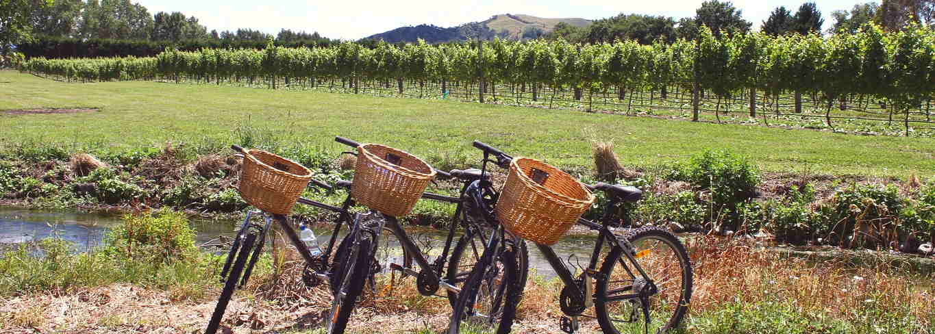 1 Day Tuscany Bike Tour